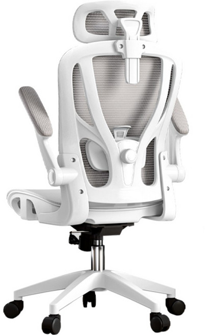 W-902 舒適人體工學網椅 台灣公司貨, W902 白色-可調逍遙