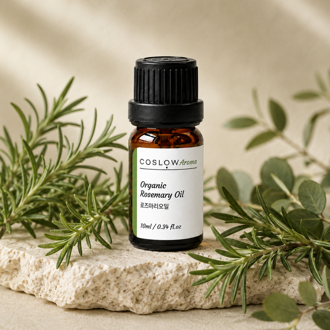 로즈마리 아로마 에센셜 오일 100% 천연 숙면 테라피 마사지 유기농, 1개, 10ml