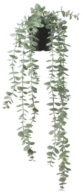 이케아 조화 인조식물 실내외겸용 페이카, 유칼립투스(58cm), 1개