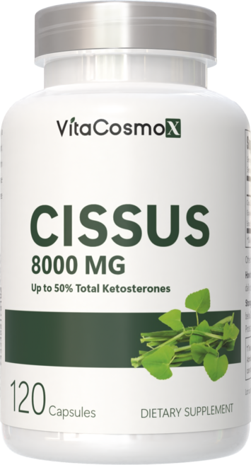 미국직배송 VitaCosmoX 시서스 추출물 Cissus 고함량 고농축 8000mg 케토스테론 50% 시서스캡슐 시서스 가루 분말, 1개, 120정