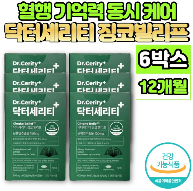 은행 잎 추출물 정 징코 GINKGO BILOBA Ginko 은행엽 은행나무 플라보놀배당체 혈행 개선 도움 영양제 아연 비타민 E B6 비오틴 엽산, 60정, 6개