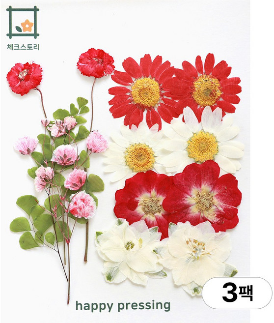 체크스토리 압화 컬러가든시리즈 누름꽃 꽃송이 압화재료 공예, 레드12(3팩), 레드