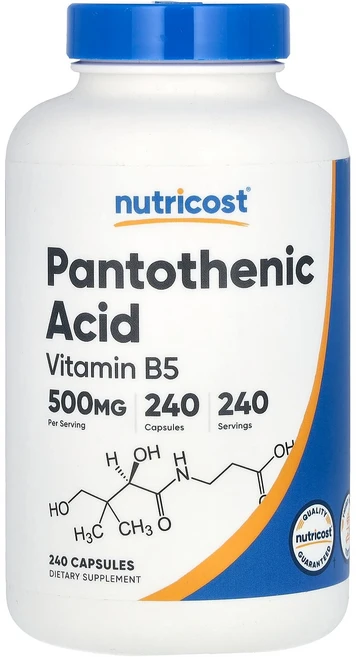 Nutricost 판토텐산 비타민B5 500mg 캡슐 240정, Nutricost판토텐산비타민B5500mg캡슐240정, 1개 - 쿠팡
