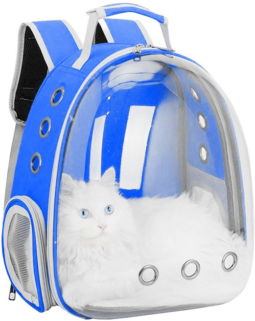 우아지오 반려동물 투명 외출가방 우주선 백팩, 1개, 블루