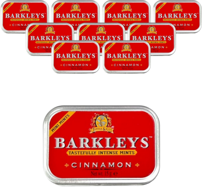 바클리즈 무설탕 미니 시나몬틴 15g, 10개