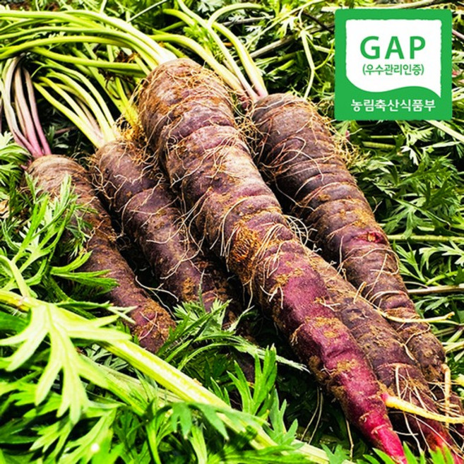 [GAP인증] 경남직송 아삭한 자색 당근 2kg(16-30개내외가정용), 없음
