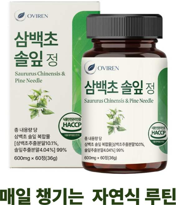 오비렌 삼백초 솔잎 추출물 99%, 1개, 60정
