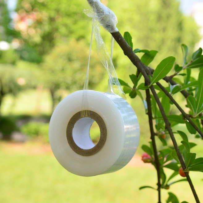 식물테이프 농사 식물 테이프 지지대, 식물접목테이프, 1개