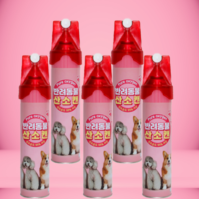 강아지 산소캔 노령견 고양이 반려동물 산소, 5개, 816ml