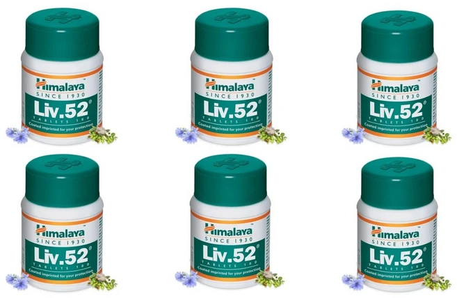 히말라야 Liv52 100정x3팩, 6개, 100정 - 쿠팡