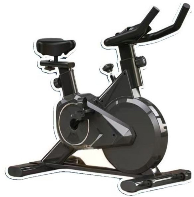13KG 飛輪健身車 無極阻力調節 300斤載重 心率功能, 黑色, FP58331BK