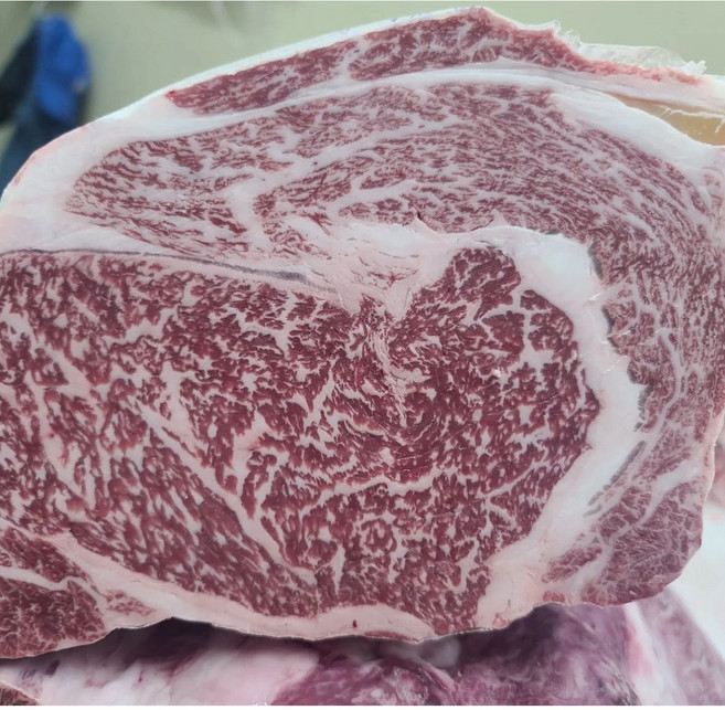 넘버나인 등급 한우 꽃등심 새우살 등심 구이용 소고기 스테이크, 500g, 1개