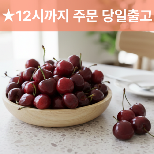 실패없는 생체리 항공수입 100%, 체리 [500G], 1개