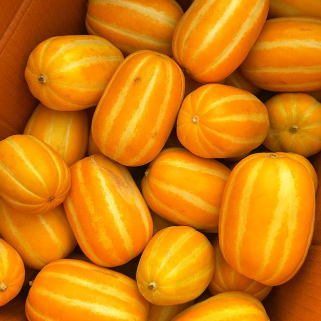 자연의정 성주 참외 고당도 가정용 흠집 랜덤과 5kg