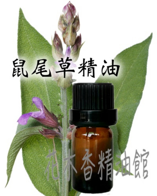 鼠尾草精油 - 花木香精油館, 1個, 30ml