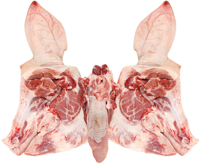 뼈없는 돼지머리 발골정육 한마리 한돈 머릿고기, 1개, 3.5kg