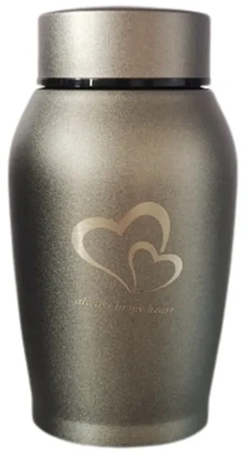 호환 스테인리스 스틸 애완동물 추모함 방수 밀폐형 애완동물 유골함 뚜껑 포함 하트 패턴 강아지 장례용, 05 Grey