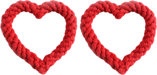 댕냐르트 1+1 하트 모양 치석제거 터그 장난감, 레드(KD50)2P, 1세트