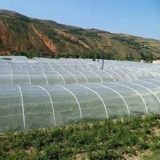 轩泽网布 果樹防蟲網 防鳥防蟲網罩, 1米長10米寬平面一張網片