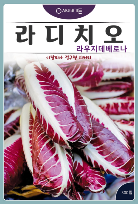 KS종묘 라디치오 라우지데베로나 이탈리아 결구형 치커리 300립 씨앗 치커리 씨 종자, 1개