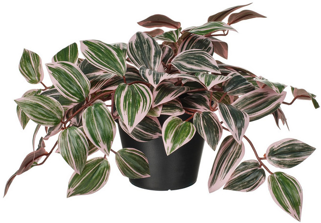 이케아 페이카 조화화분 인조식물 자주달개비/라일락 (화분지름:12cm)