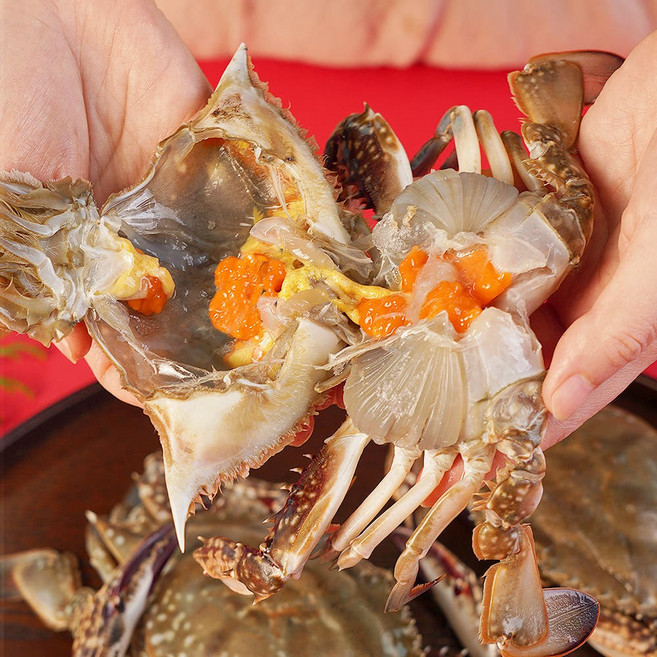 [단맛가득] 제철 알배기 살아있는 암꽃게, 1박스, 1kg