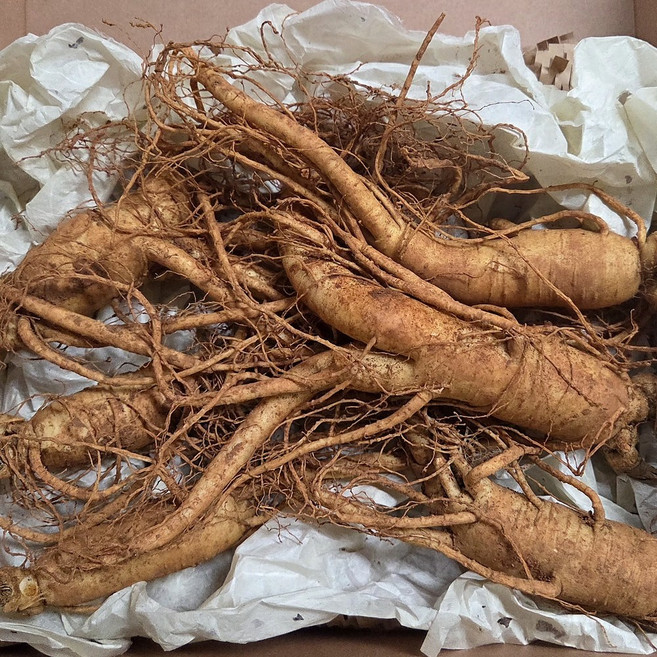 하늘농부 유기농 6년근 수삼 흙향 그대로 산지 직배송 친환경 500g 유기농 수삼선물세트, 유기농수삼 500g +500g