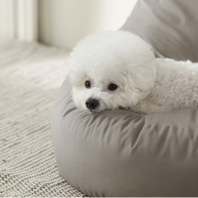 울리 펫 빈백 강아지 쿠션, 울리펫빈백L(모카), 1개