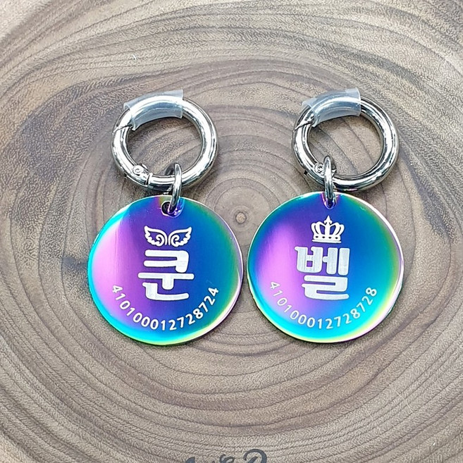 레인보우 강아지 인식표 써지컬 펜던트 레이저 각인 목줄 이름표, C, 1개
