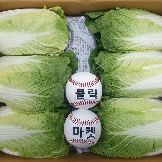 클릭마켓 알배추 쌈배추 알배기 배추 6통, 6개