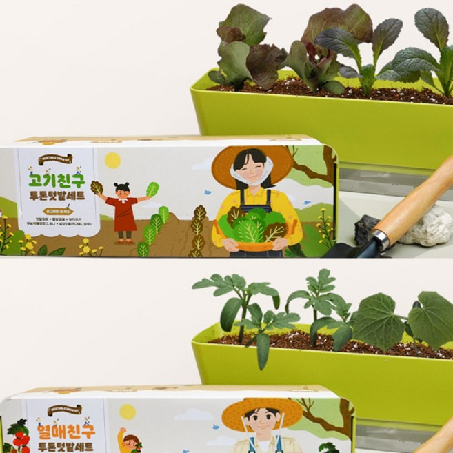 (꿈쟁이) 90 키우기세트 투톤텃밭세트 상추키우기 방울토마토 고기친구 열매친구 (옵션), 고기친구 투톤텃밭세트