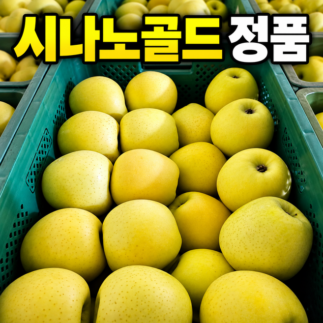 [정품보장] 시나노골드 사과 특상급 (당일출고), 1박스, 5kg 중과