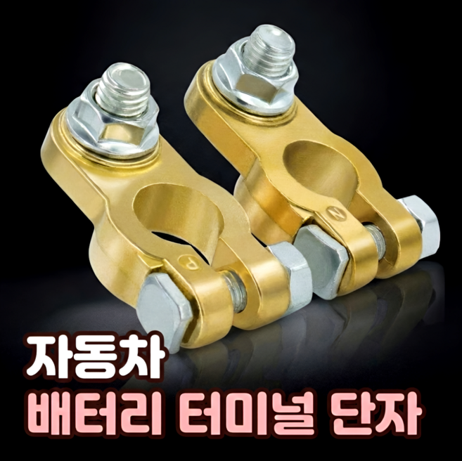 로니베이 자동차 배터리 터미널 단자 황동 음극(-) 양극(+), 1세트