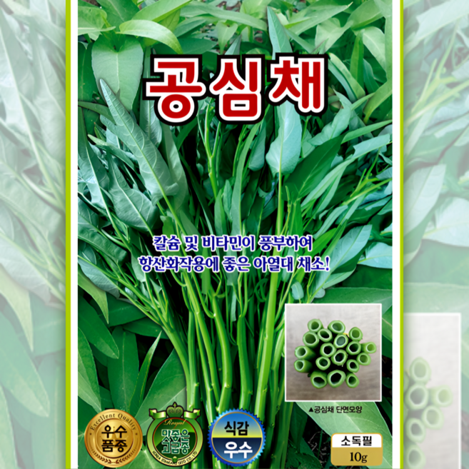 공심채 씨앗 10g 아열대채소 텃밭재배 여름채소 다수확 칼슘 풍부한 비타민채소 ks, 1개