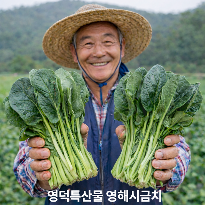[리초이샵] 영덕 특산물 영해시금치 신선한 포항 영해초 농가직송 시금치 1단 2단 3단 4단, 1개, 1.2kg