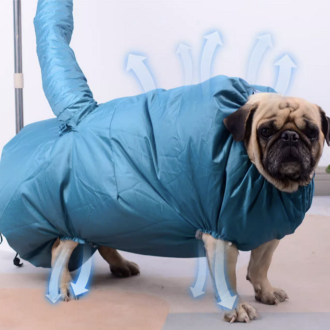 고냥냥 강아지 고양이 드라이룸 드라이기, 1개, 블루