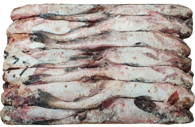 냉동 동태 7통 러시아산, 1박스, 21.5kg 내외