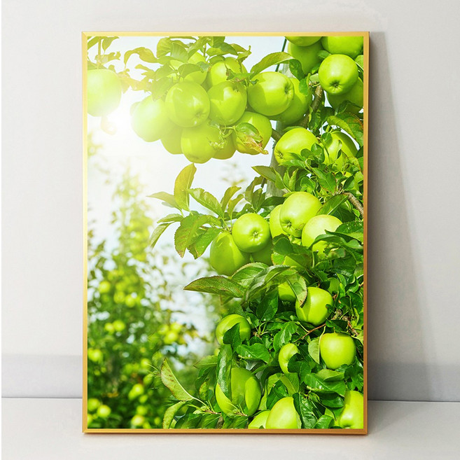 화색갤러리 풍수 인테리어 177사과 그림 액자 프리미엄 캔버스천으로 인화, 블랙무광