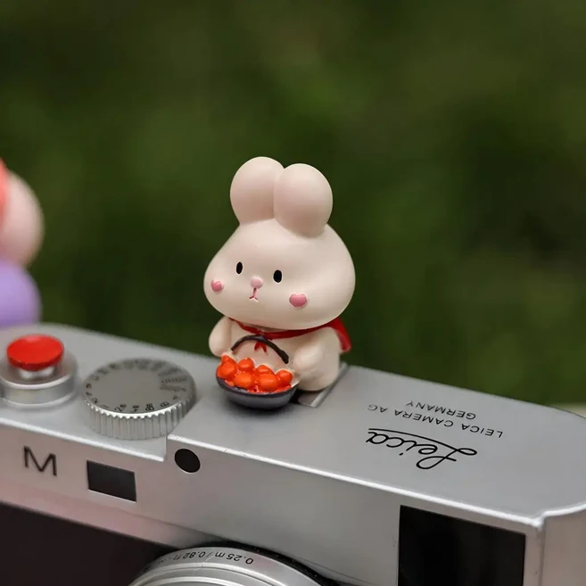 귀여운 토끼 모양 유니버설 핫슈 커버 (라이카 Q2 Q3 후지 X100V X-T5 소니 ZV-1 캐논 EOS Z5 카메라 액세, 06 F