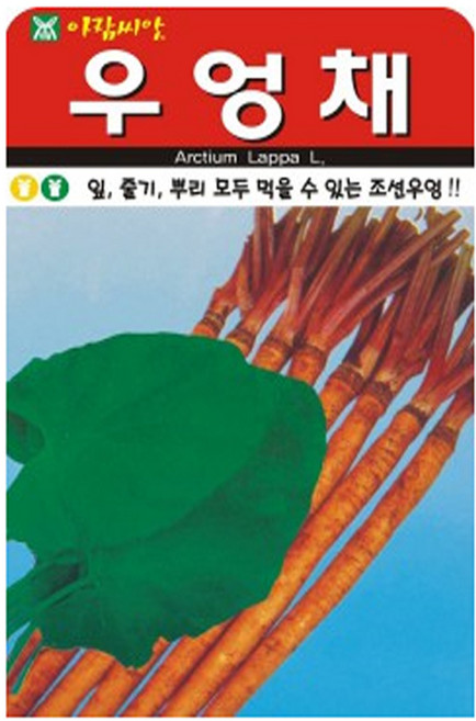 SN월드 씨앗 민속특수씨앗 약초 곰취 냉이 와송 삼채 더덕 도라지 당귀 잔디, 1개
