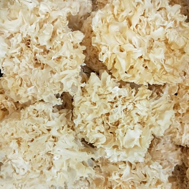 無硫磺 檢驗合格 頂級白木耳 雪耳 銀耳 膠原蛋白, 1個, 一朵