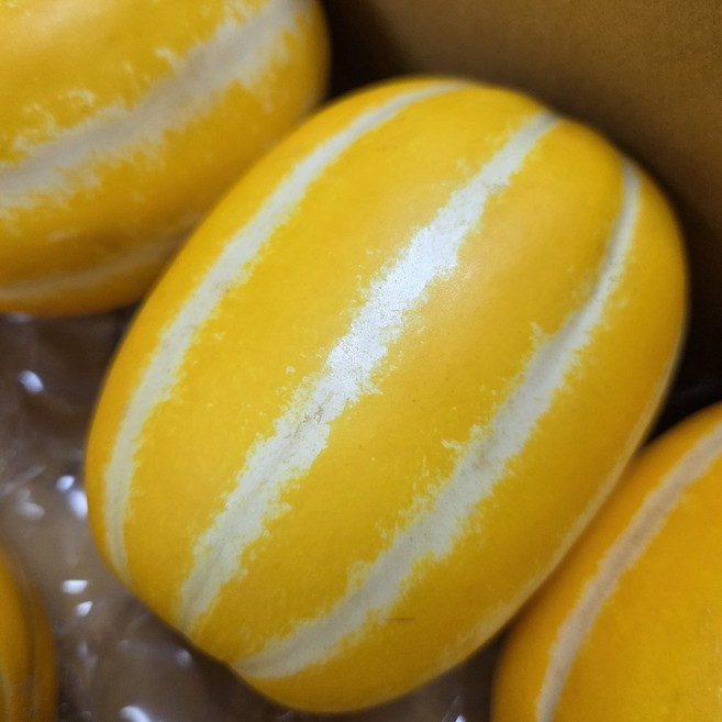 [고당도선별] 최대20brix 꿀흐르는 성주 참외, 1박스, 10kg중소과