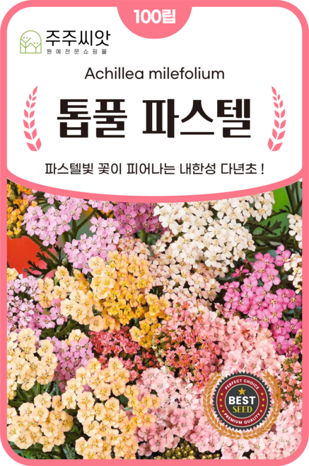 [주주씨앗] 톱풀 파스텔 씨앗 100립 / 파스텔빛 내한성 다년초 꽃씨 씨앗몰, 1개