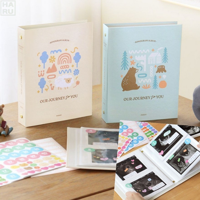 태아 초음파앨범 제작 아기 포토북 사진일기 주수스티커 초음파 성장앨범 다이어리 임신부선물 태교일기장 사진인화 아기사진책 태아일기, 민트