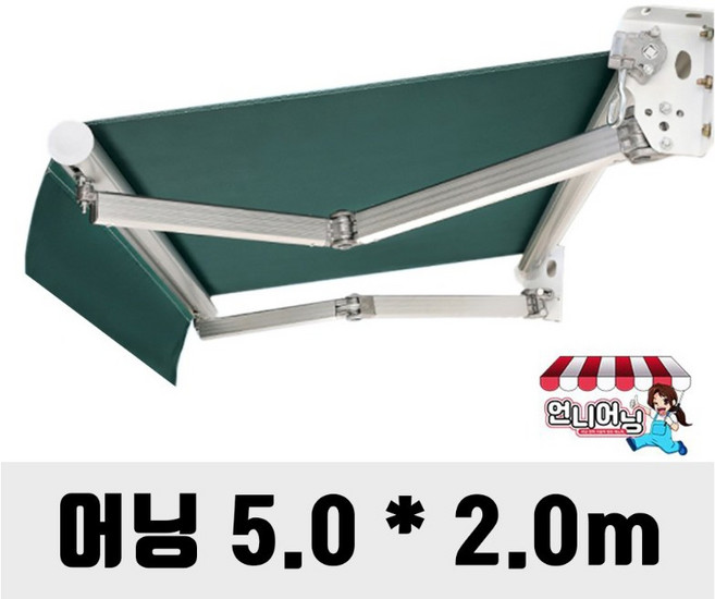 언니어닝 어닝 자가설치용 방수 천막 가게 옥상 햇빛가리개 접이식 캐노피 차량용 수동 고정 자동 DIY, 그린, 5m x 2m