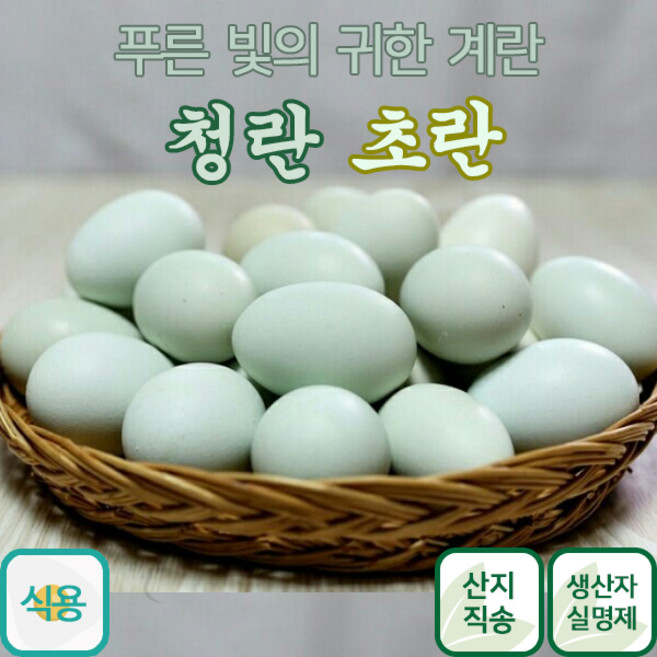 귀한 건강한 청란 초란 어린닭이 낳은 청계란 유정란, 30구, 1개