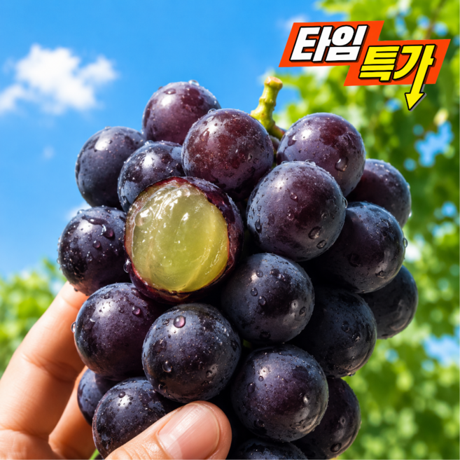 [타임특가] 산지직송 포도꾼 고당도 거봉, 1박스, 1kg
