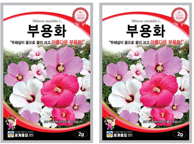 부용화 씨앗 꽃씨 2g 꽃씨앗 세계종묘 모칸도, 2개