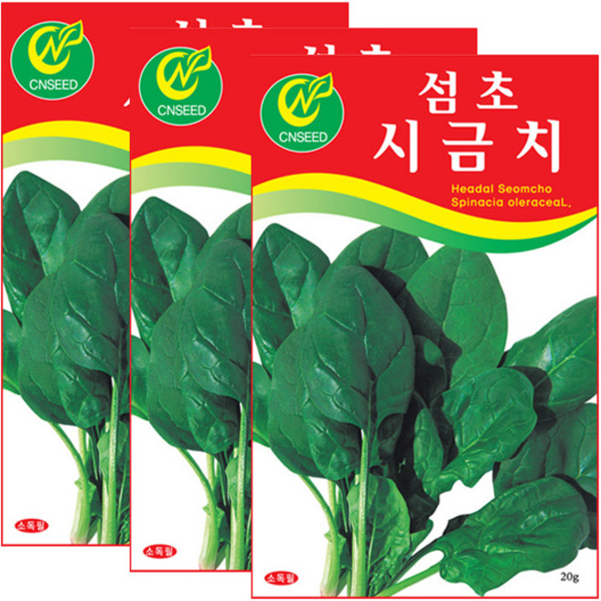 세인화분 섬초 시금치 20g - 국산 씨 씨앗, 3개