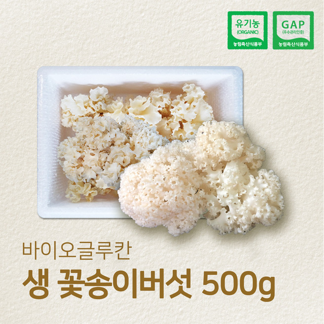 유기농 GAP 인증 국내산 생꽃송이버섯 최상급, 500g, 1개